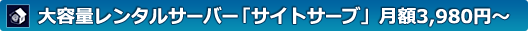 大容量レンタルサーバー「サイトサーブ」月額3,980円〜