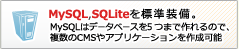 MySQL,SQLiteを標準装備。MySQLはデータベースを ５つまで作れるので、複数のCMSやアプリケーションを作成可能